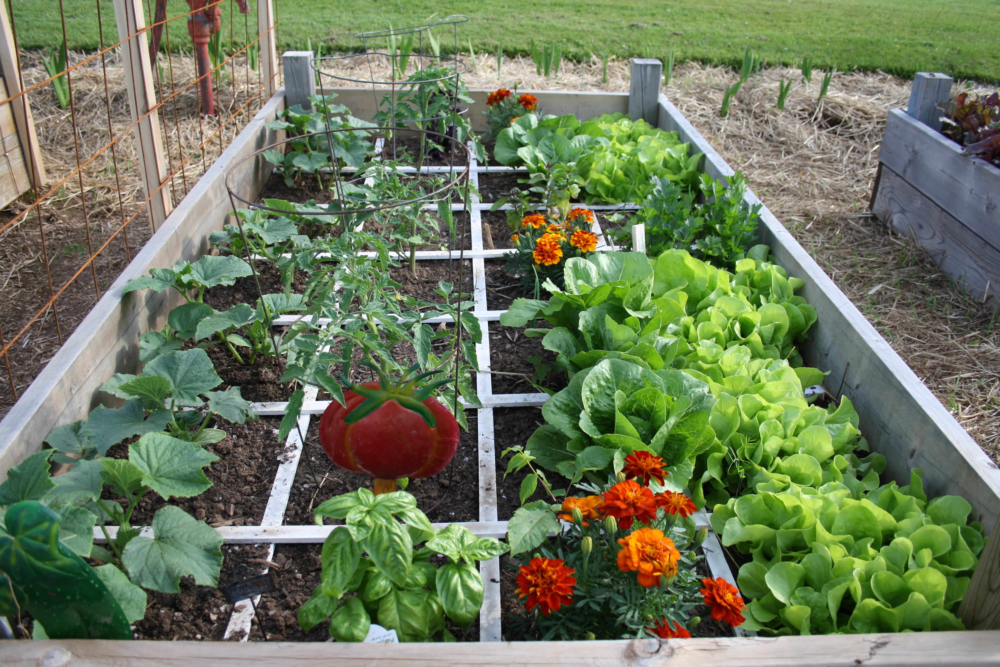 Square Foot Gardening – the Creative Garden Patch